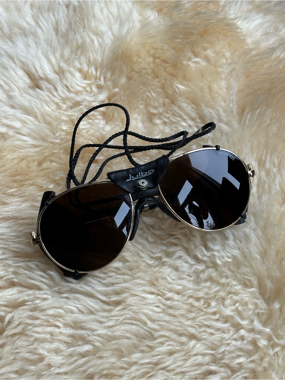 Vintage Julbo Mountaineering/Glacier Glasses